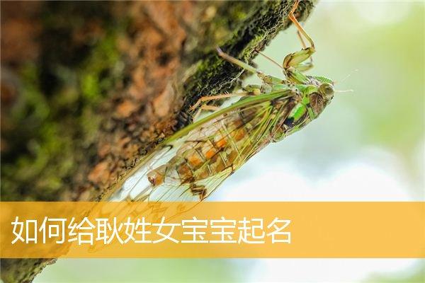 为宝宝起名字的建议