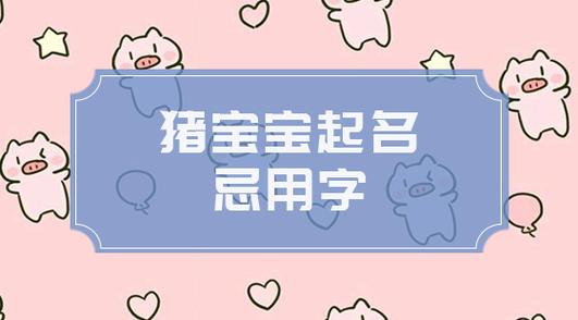 2019年男孩属猪起名指南