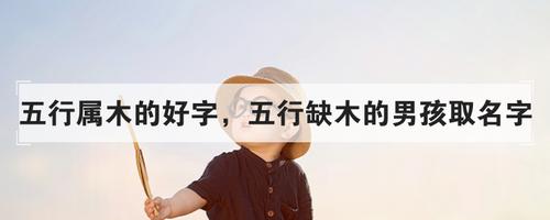 一、五行属木的男孩特点：