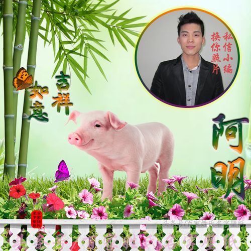 属猪可不可以起名叫璟字
