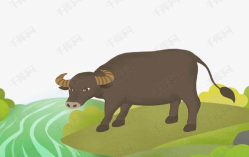 属牛的起什么微信昵称好