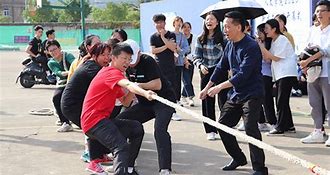 墨舞飞扬