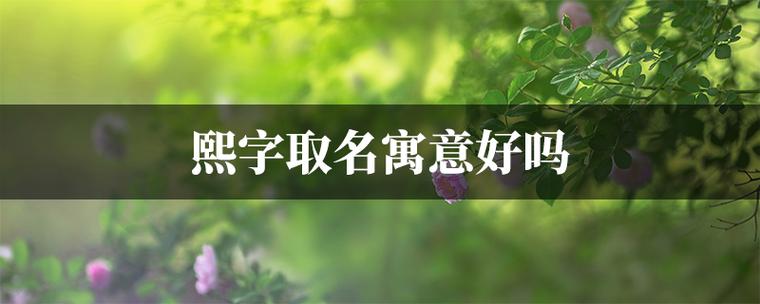 希来起名探索文化的深邃与美丽