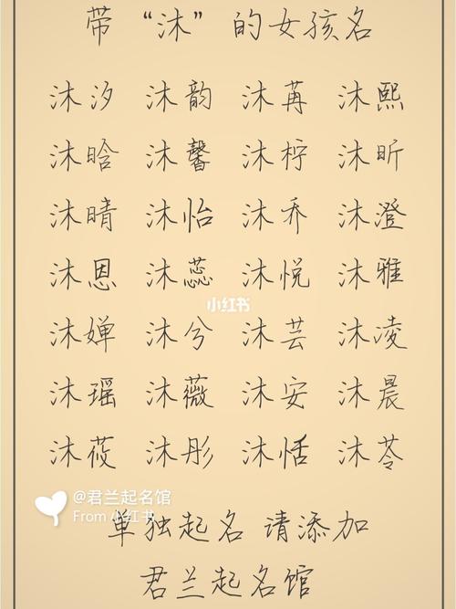 姿蒂起名探索文化与创意的融合