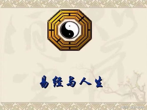 教学目标