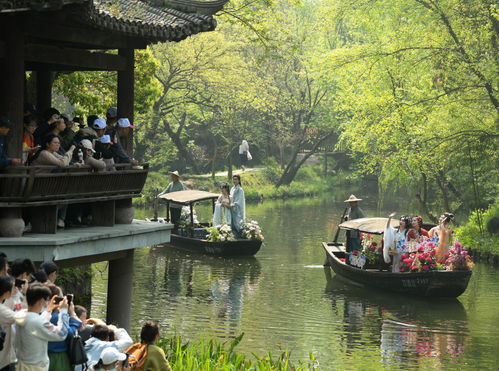 了解杭杭起名的文化背景