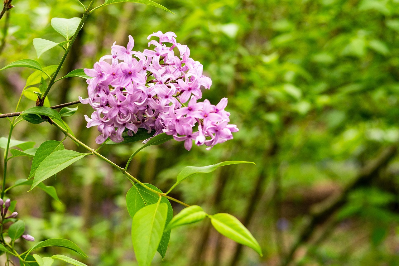 根深叶茂，国学起名的智慧诠释