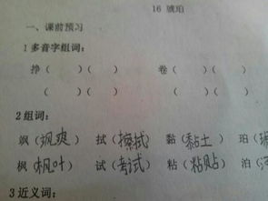名字的拼音和组词成语