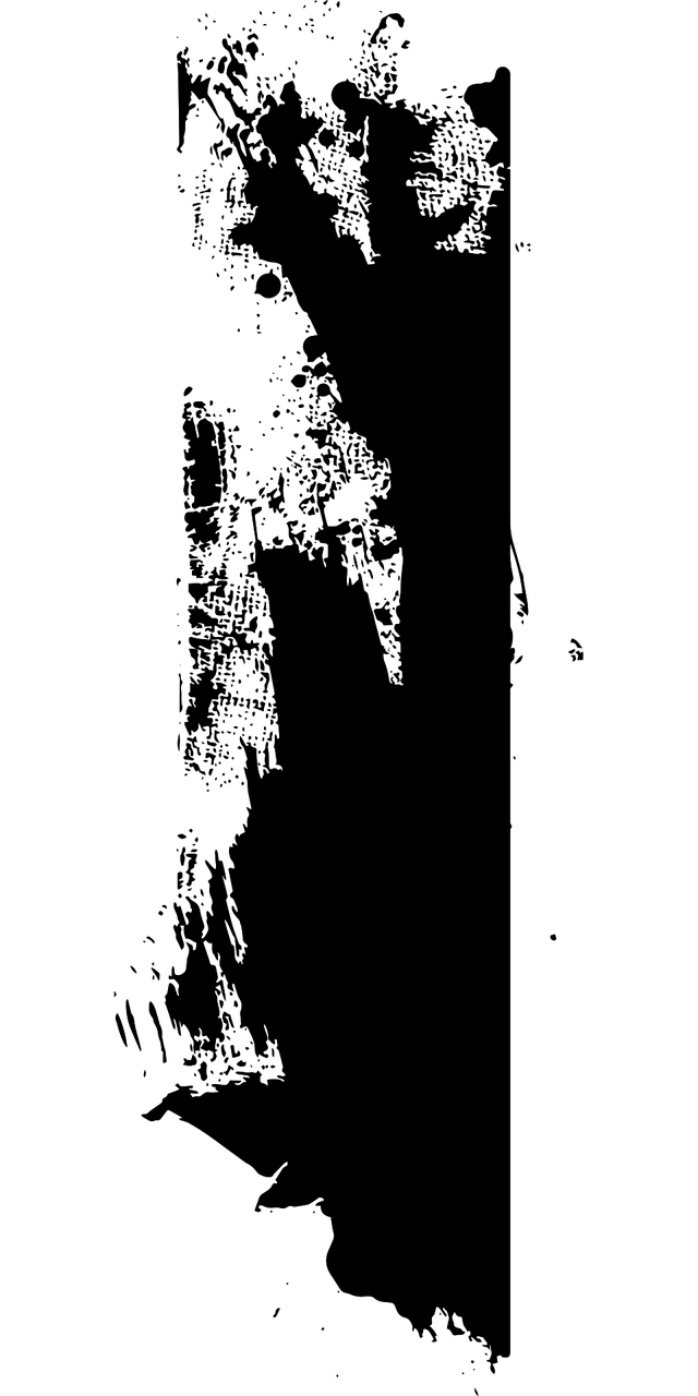 纹墨华章，以额头竖纹为笔，书写独特的人生哲理