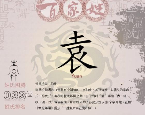 瓷都起名网免费查名