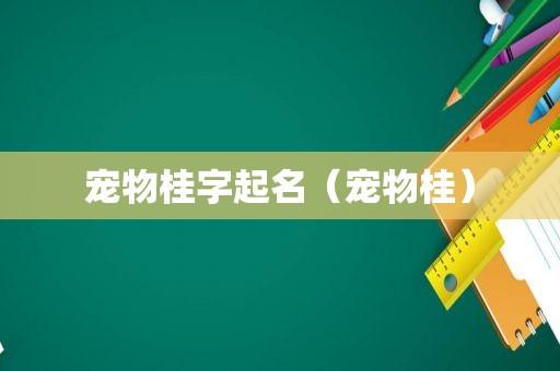 如何为宠物起名？