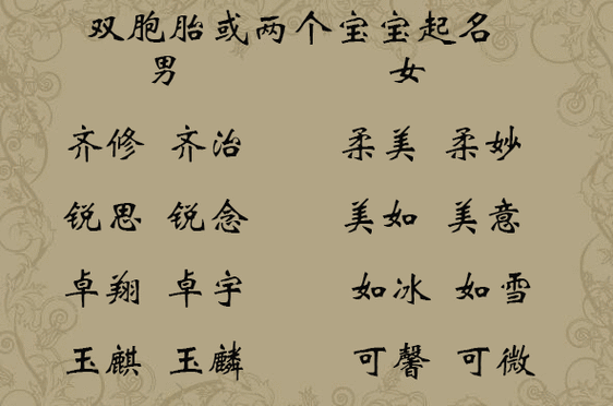 起名建议：以“戴”字开头的双胞胎男孩名字