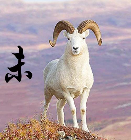 起名建议：禾字在属羊人名字中的含义与影响