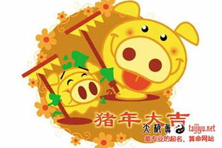 猪年宝宝起名姓何的名字
