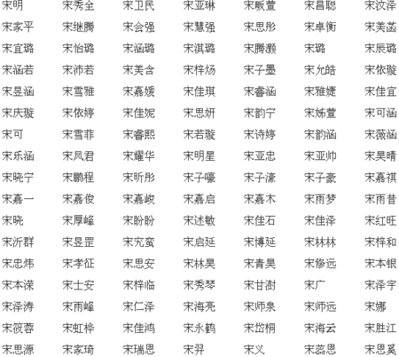 宋智的名字