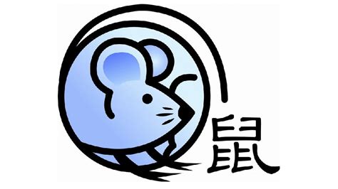 姓卫的男孩