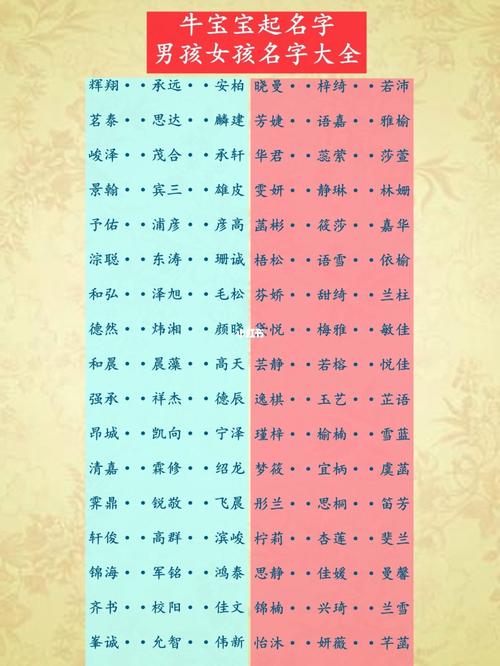 段姓男宝宝取名字