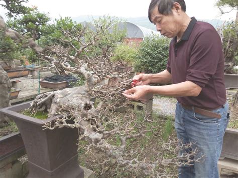 圆怎么起名