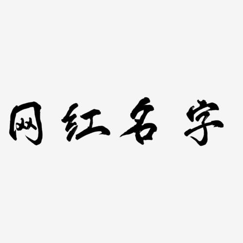 网络名字设计生成器
