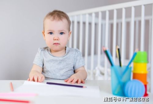 爸爸姓宋宝宝起名字男孩子