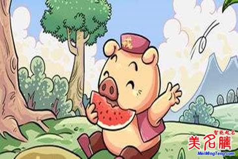 猪宝宝名字带什么偏旁好
