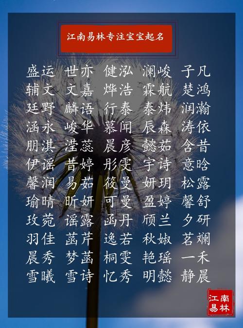 姓孙的男孩名字属鸡