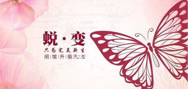 事业顺风顺水的句子