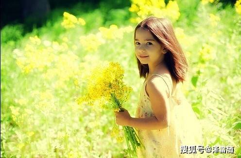 2023年生肖运势大揭秘提前预知你的未来一年