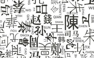 课程简介
