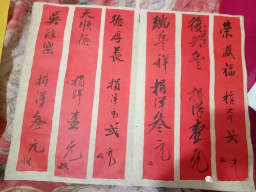 魏大比简历