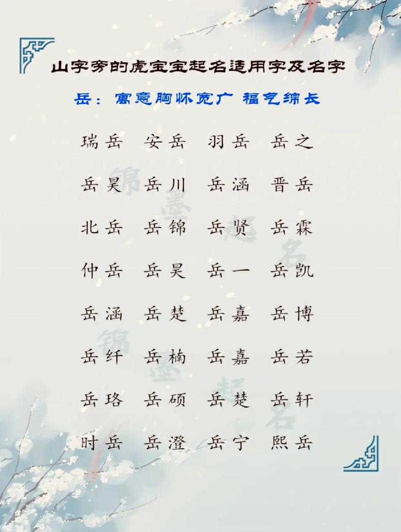 【虎宝宝起名文化】——传承与创新并重的命名艺术