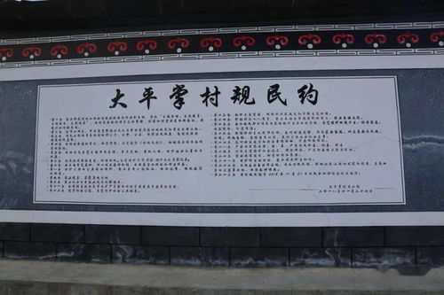 一、党翠娥的背景与成就
