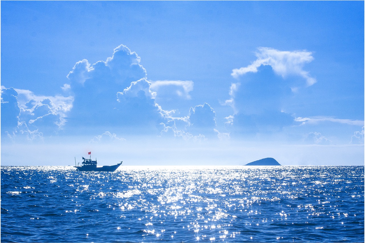 湖北天空现凤舞九天