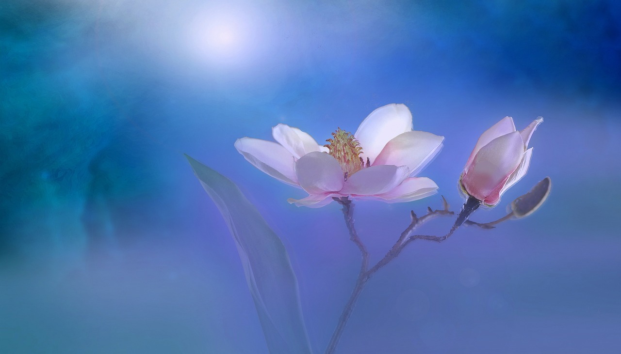 彩虹岛，诗意盎然的华夏古韵新世界