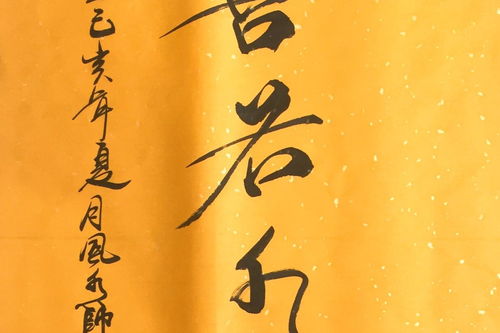 陆锦文案