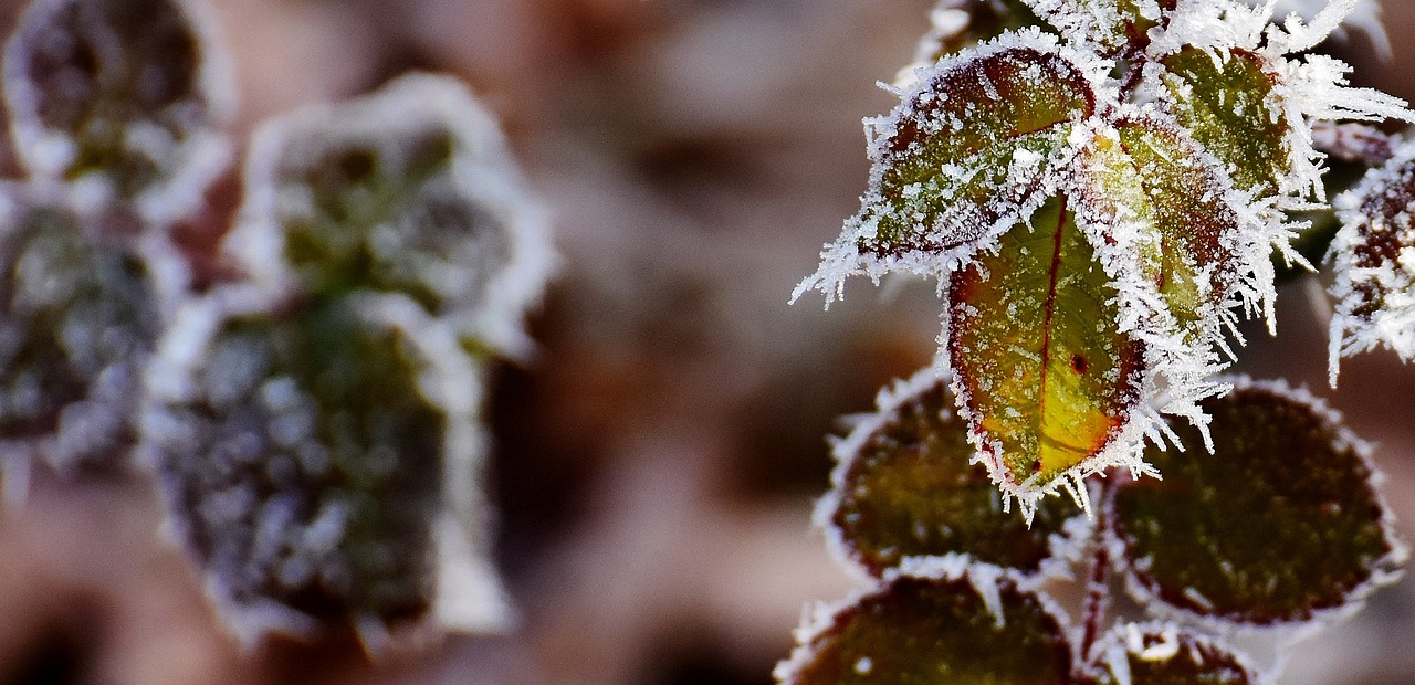 漠河下雪了
