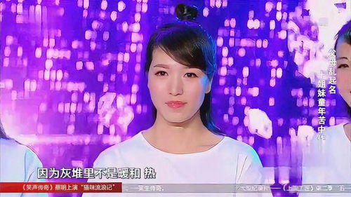 有个叫汪晴的什么电视剧