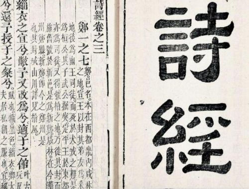 飞起名意义