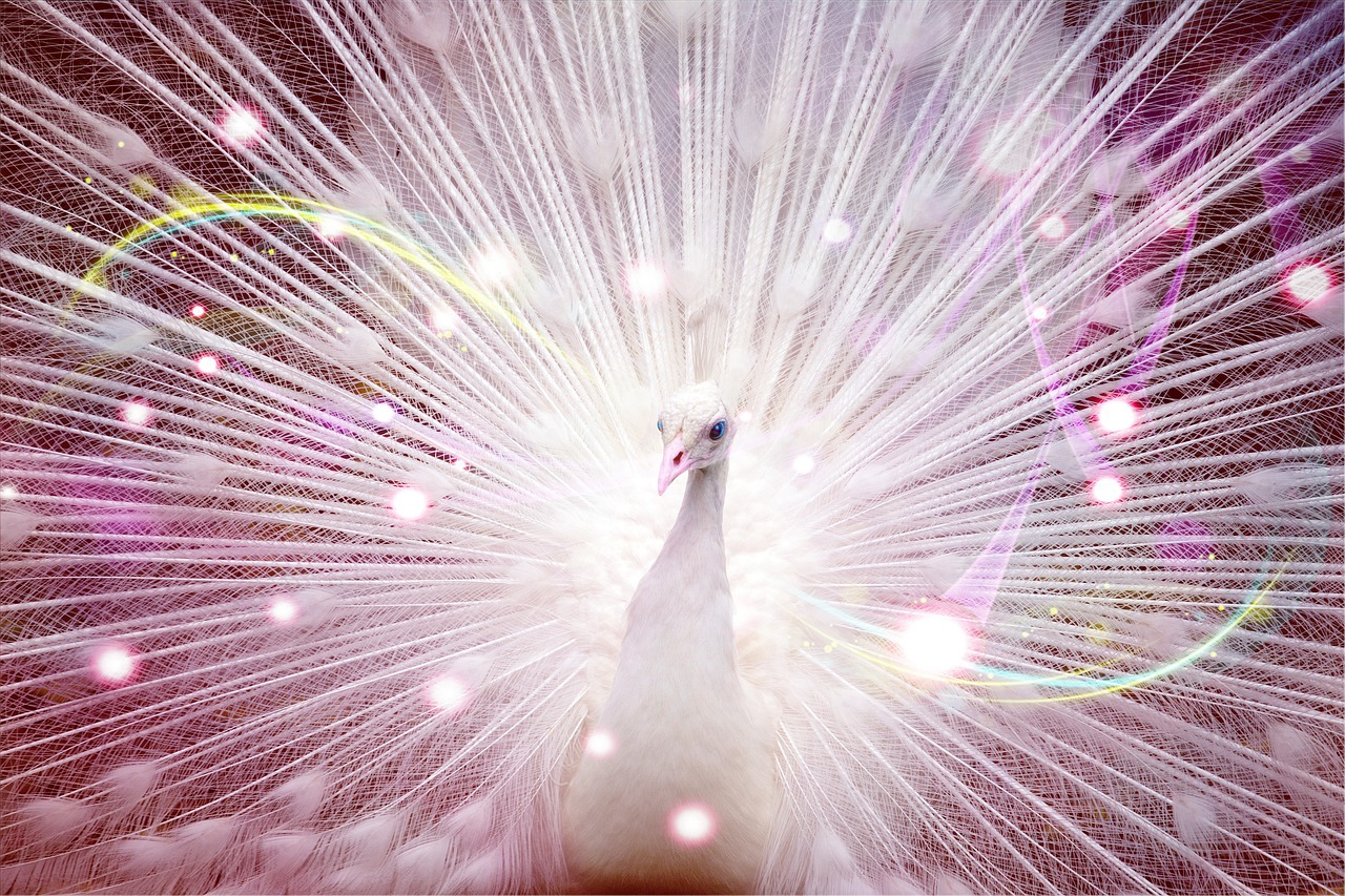九月八日，启封天象密码，璀璨金牛星座的智慧与坚韧