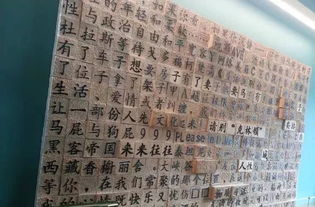 郑起名大全女孩有寓意