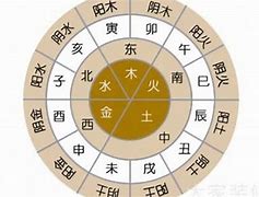 名字根据生辰八字而来