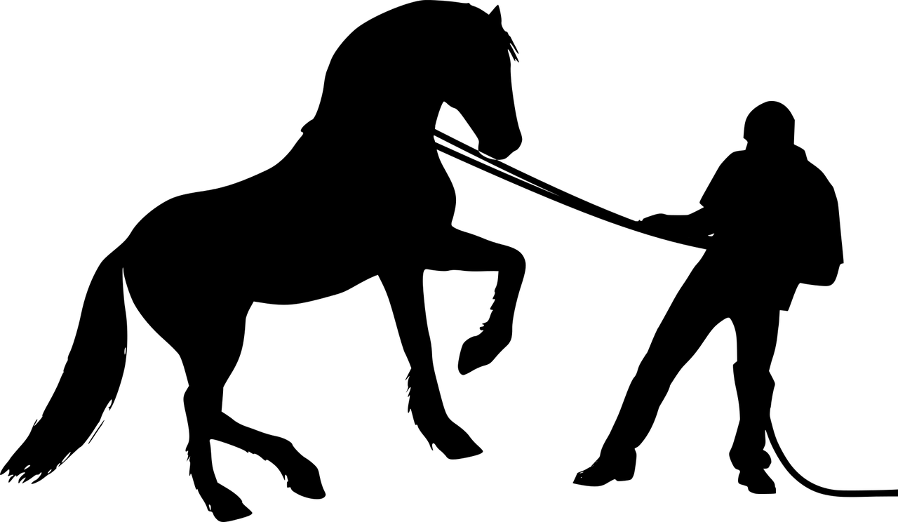文化创意与艺术的亲密舞步，共舞中的创新与表达