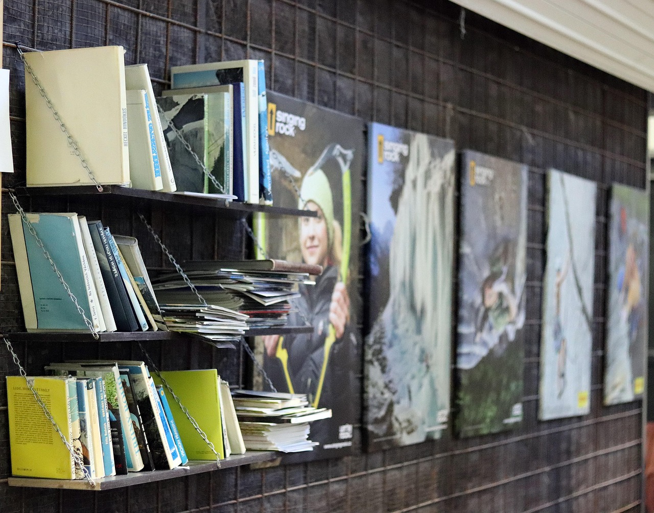 探索文化的艺术性,从日常生活到艺术殿堂