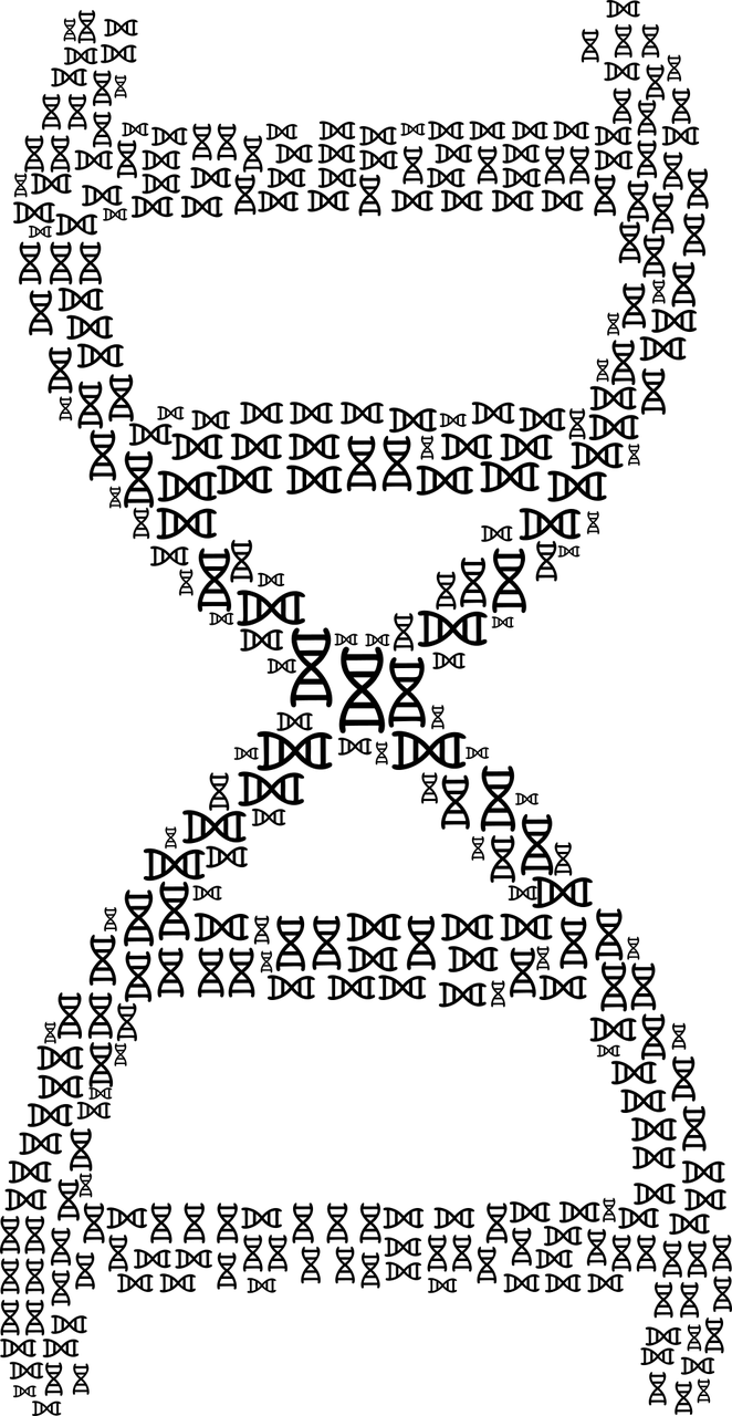 周易起名，免费生辰八字起名的艺术与科学