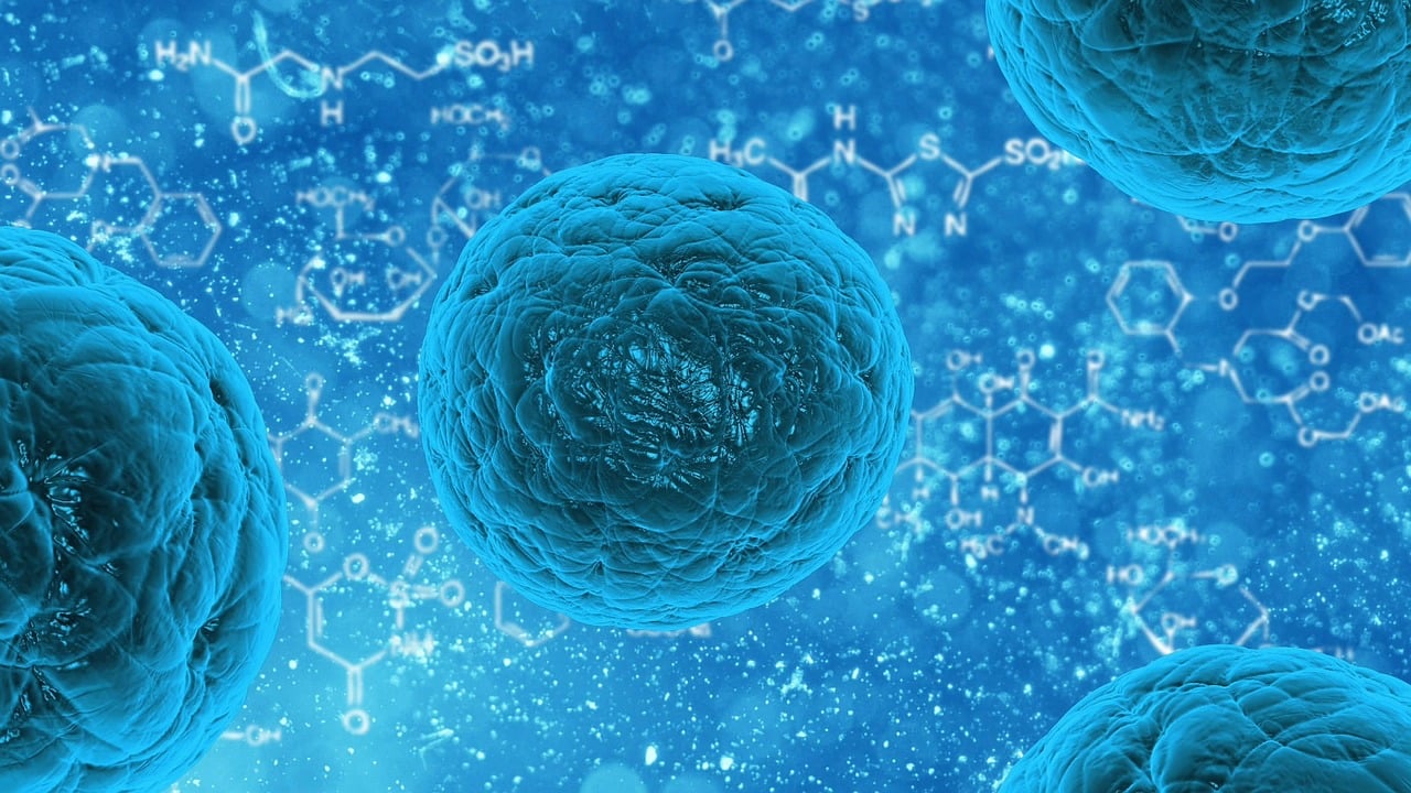 探索姓名的力量，姓名打分测试背后的科学与迷信