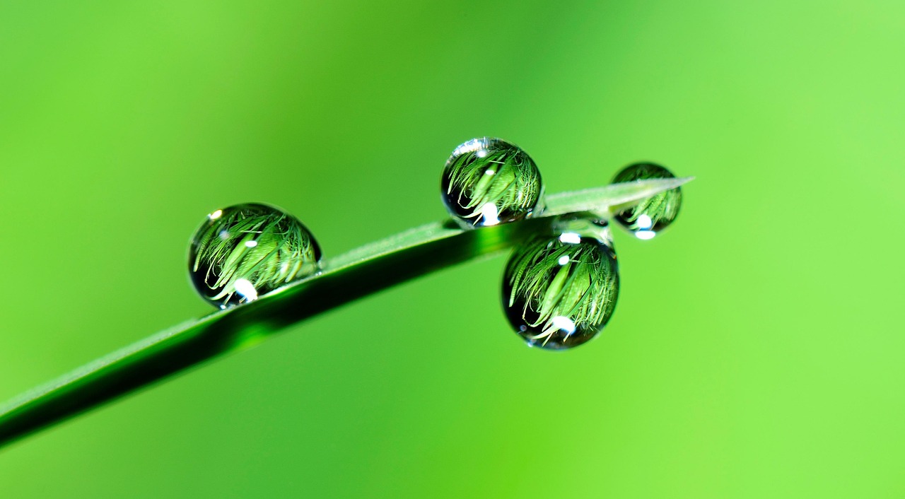 雨字在女孩名字中的寓意，诗意与美好的象征