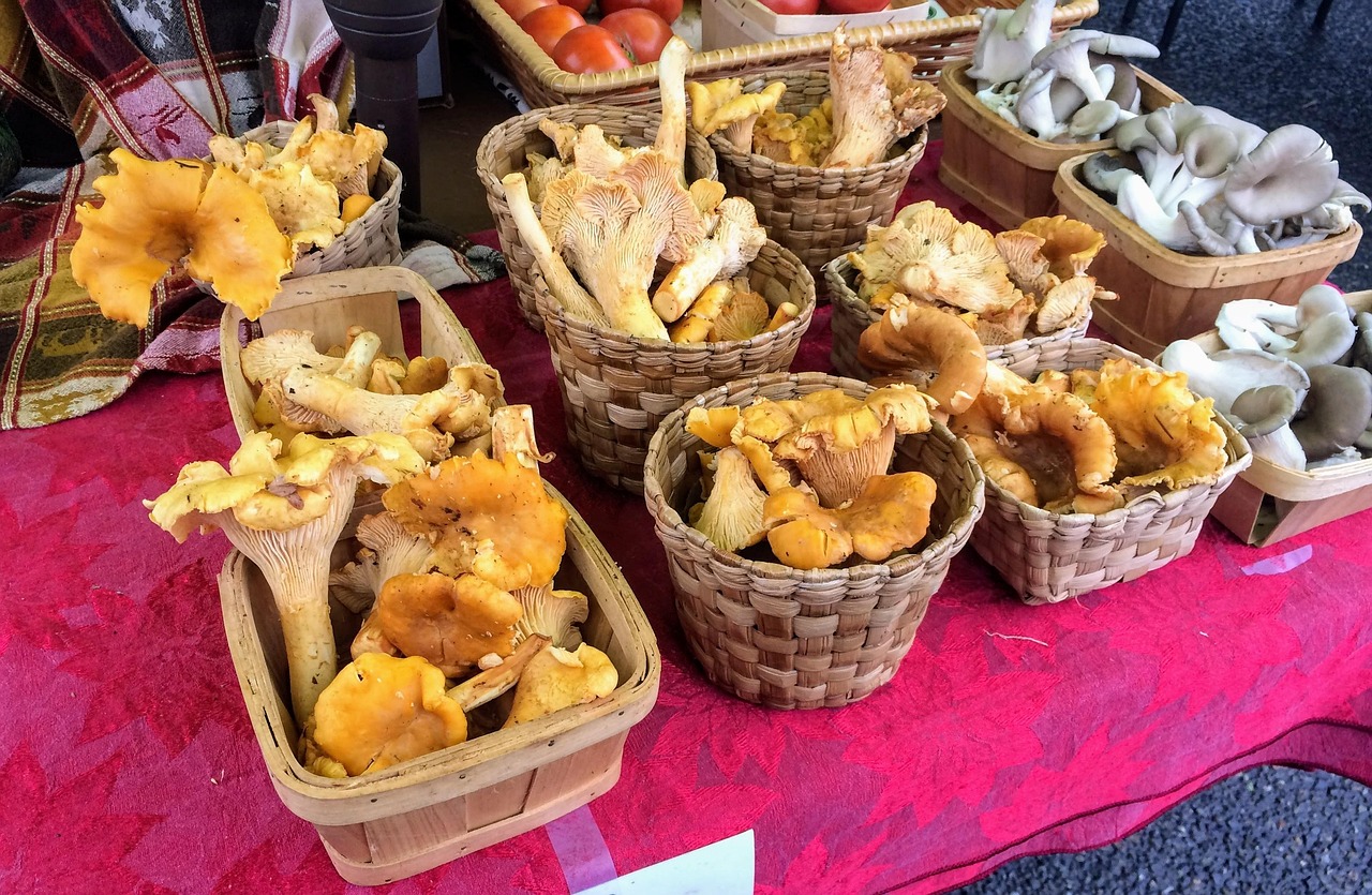 食品行业的多彩拼盘，从农场到餐桌的奇妙旅程