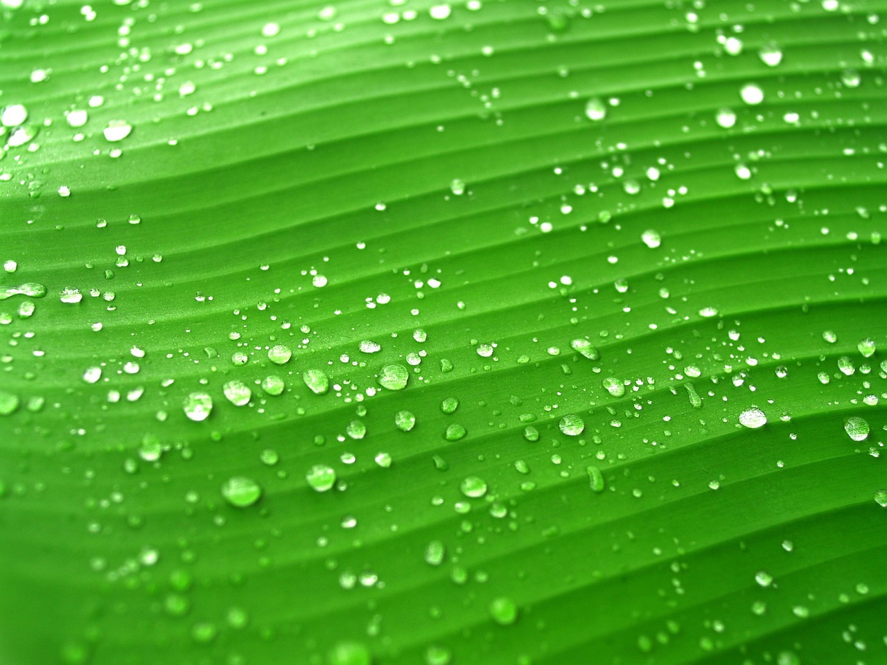 雨滴中的诗篇，探索雨字取名的深层寓意