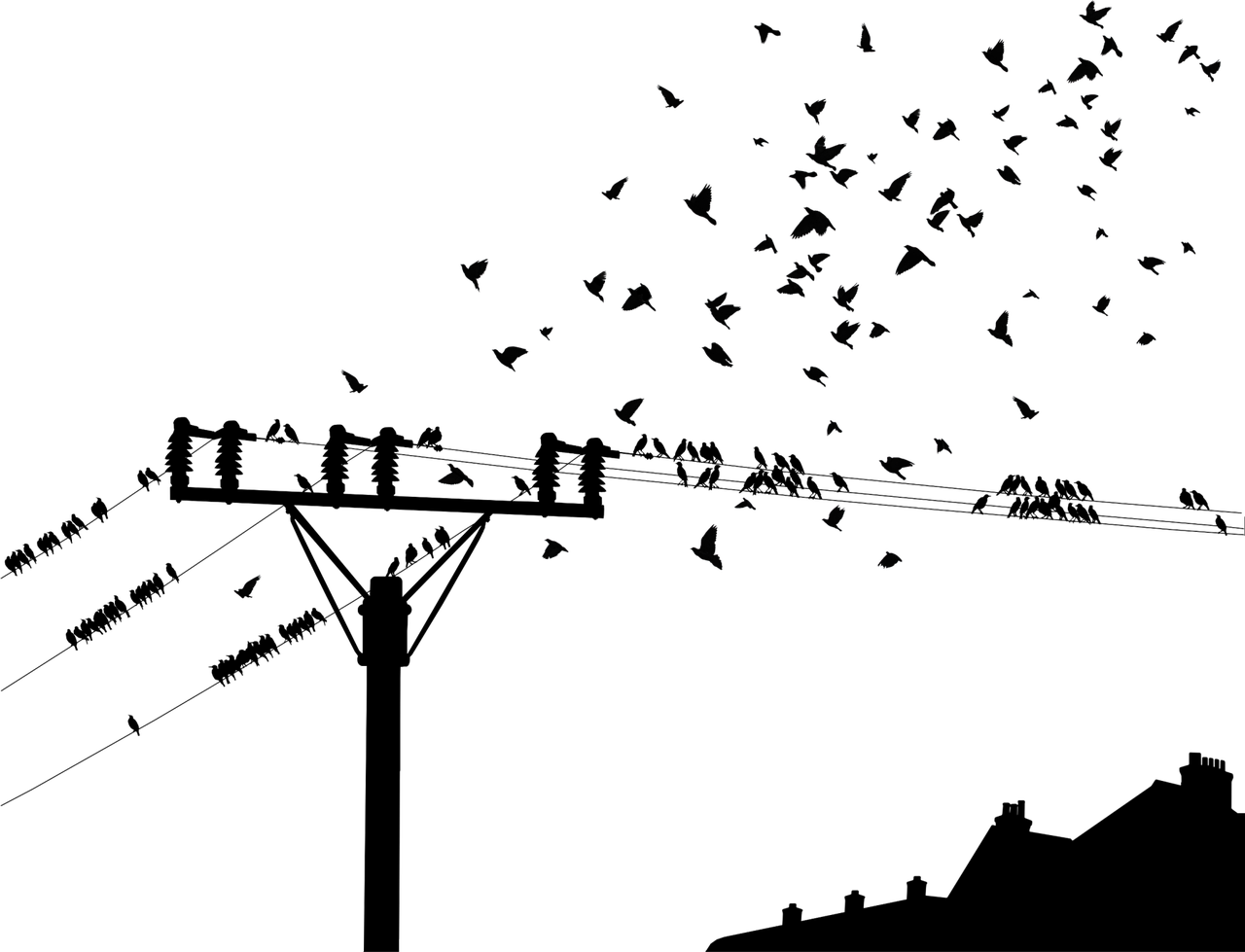 理学与工学，探索科学与技术的教育分野